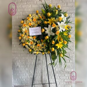 CORONA PICARON PREMIUM PHANY