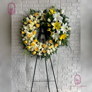CORONA PICARON VERO